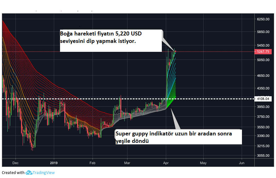 btc günlük grafik