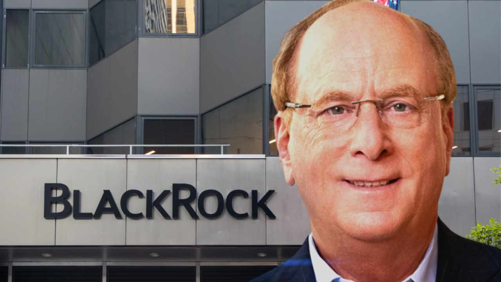 Blackrock, Blackrock CEO'su Larry Fink